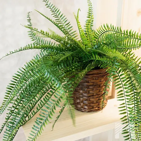 Slovianka By Lookap - Sauna Oraz Darmowy Parking W Garazu!! *