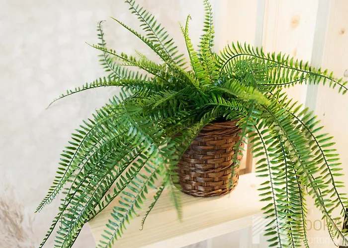 Slovianka By Lookap - Sauna Oraz Darmowy Parking W Garazu!! *